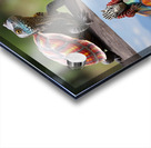 A colorful tortoise sitting on a zebra in Afric 1 Acrylic print