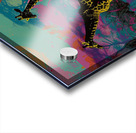 African Animals Concert Color Field Art   ar 32 b 1717851937.2556 Acrylic print