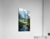 A tranquil mountain stream winds through the fo b Acrylic Print