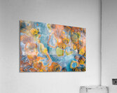 Aerial View of Multicolored autumn in wetlands  2 Acrylic Print