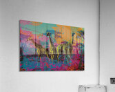 African Animals Concert Color Field Art   ar 32 b 1717851937.2556 Acrylic Print