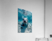 all blue environment A realistic photo g in the 8 Acrylic Print