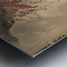 Ancient Chinese people looking up at the sky.   1 Metal print