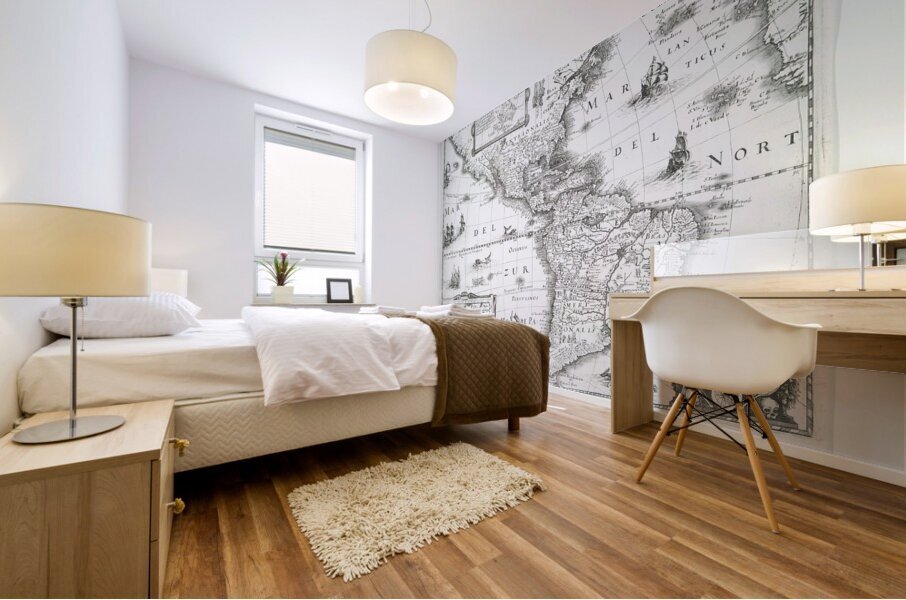 America nouiter delineata NYPL b15314132 434546.j Mural print