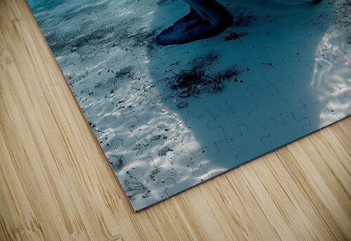 all blue environment A realistic photo g in the 8 ASAR STUDIOS puzzle