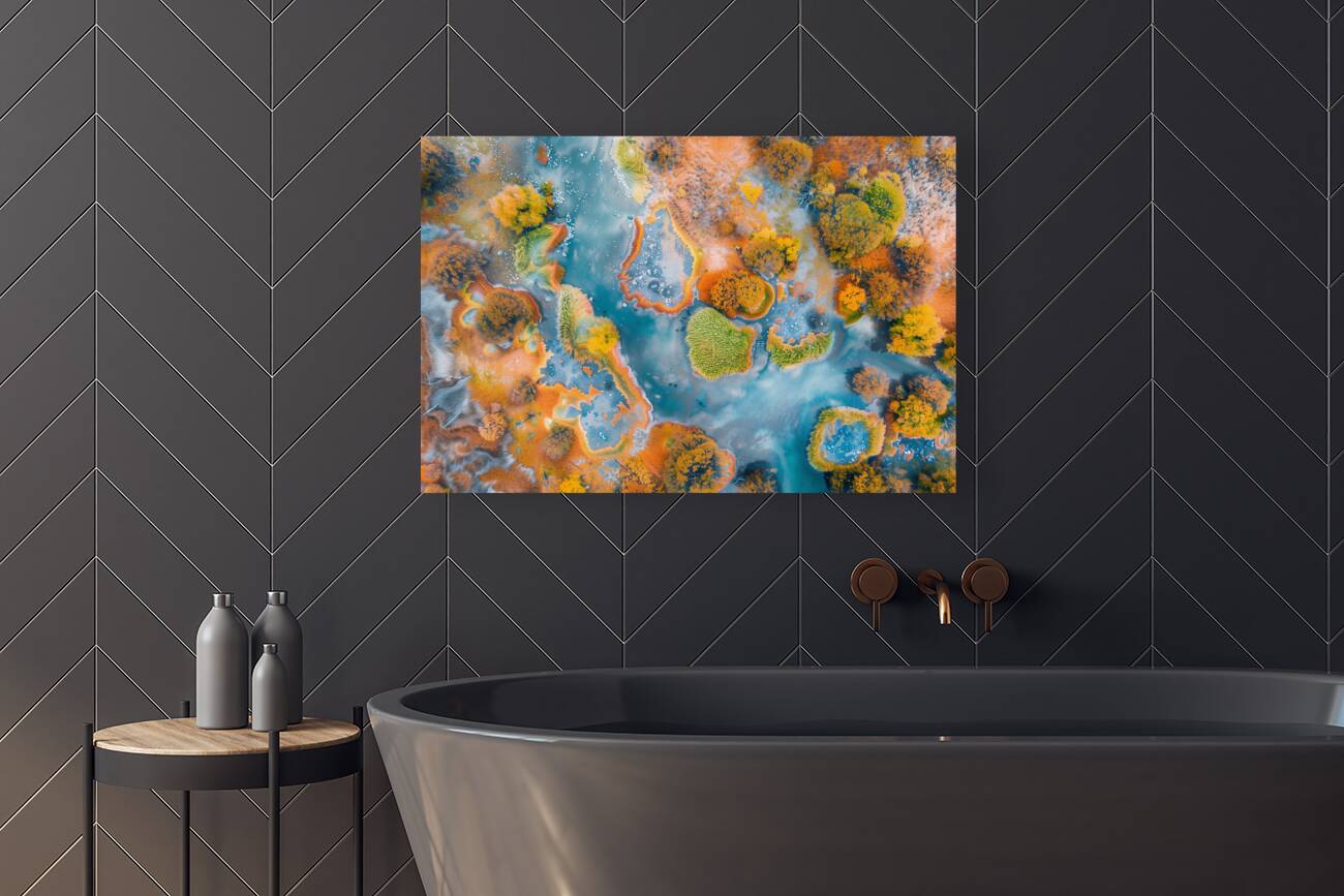 Aerial View of Multicolored autumn in wetlands  2 Reproduction