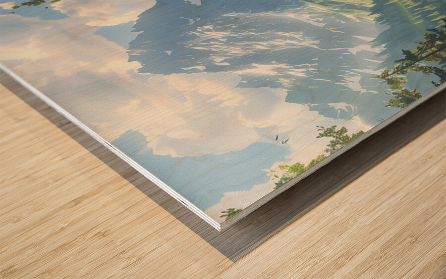 A tranquil mountain stream winds through the fo b Wood print