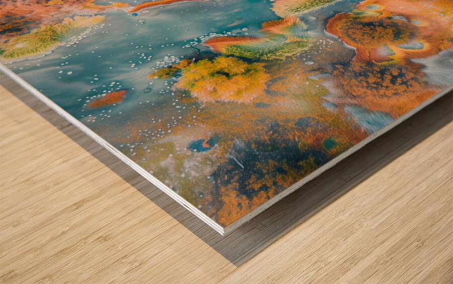 Aerial View of Multicolored autumn in wetlands  2 Wood print