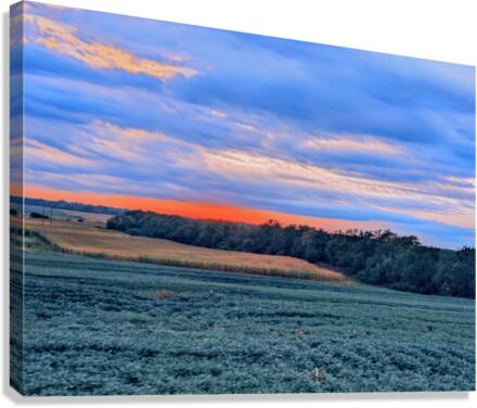 augest summer in nebraska Canvas Print
