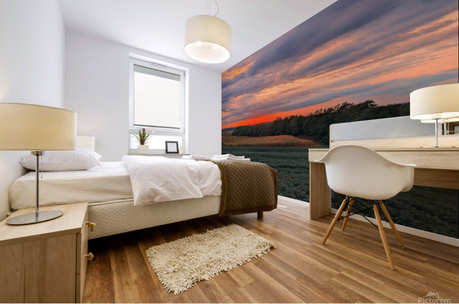 west setting sun Mural print