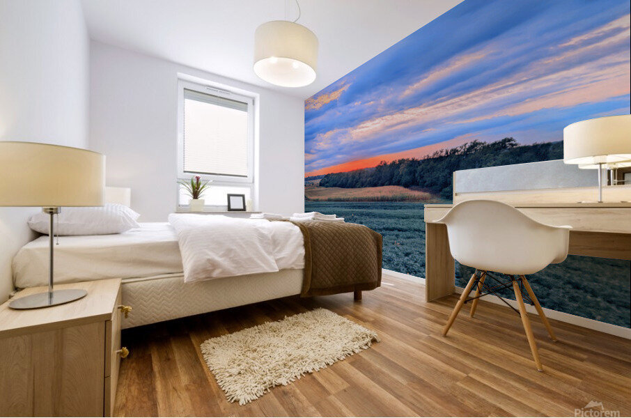 augest summer in nebraska Mural print