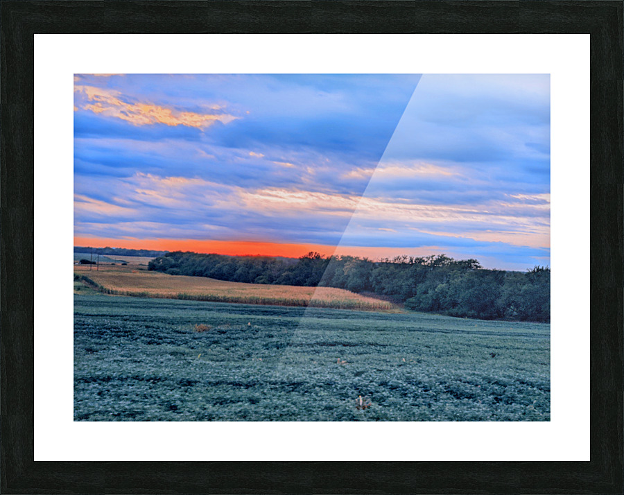augest summer in nebraska Picture Frame print