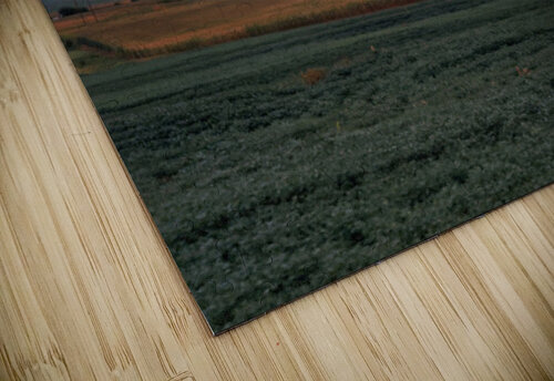 west setting sun Catherine ann hempfling puzzle