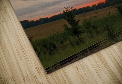 sunsetting sky Catherine ann hempfling puzzle