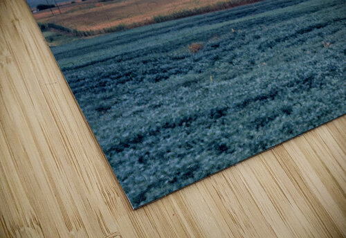 augest summer in nebraska Catherine ann hempfling puzzle