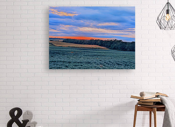 augest summer in nebraska by Catherine ann hempfling