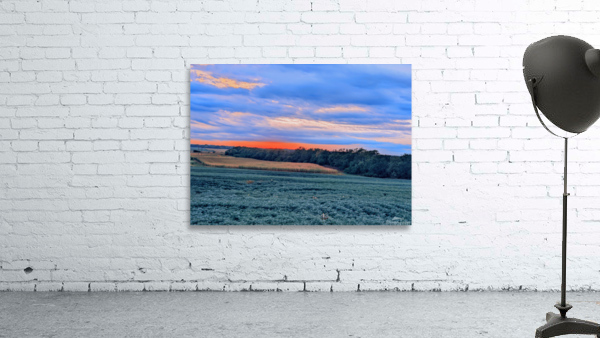 augest summer in nebraska Wall Preview