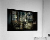 Fractal Exposures Acrylic Print