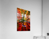Reflections Acrylic Print