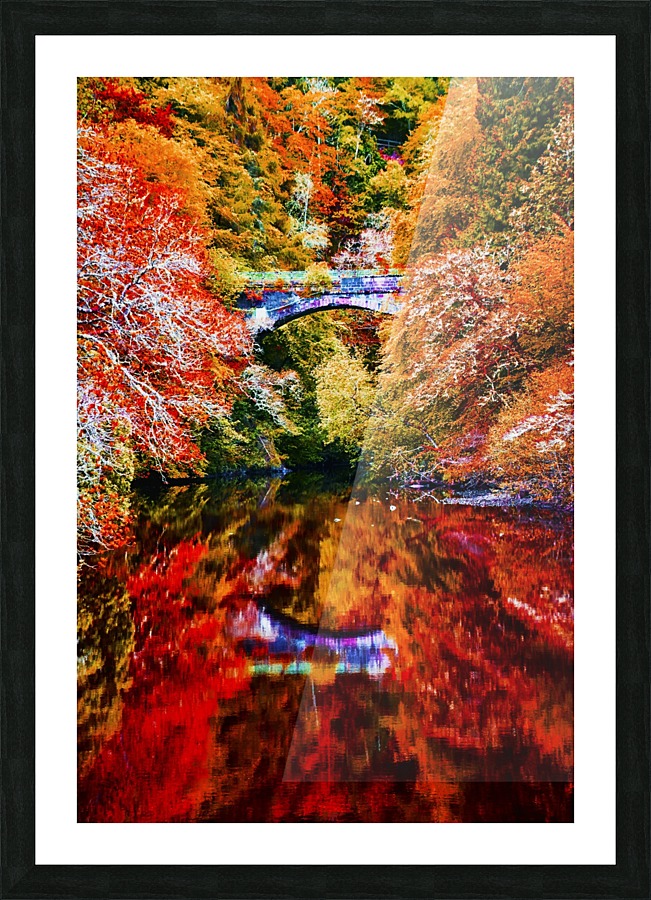 Reflections Picture Frame print