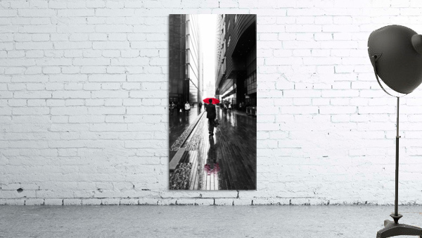 The Red Umbrella Wall Preview