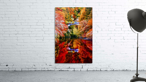 Reflections Wall Preview