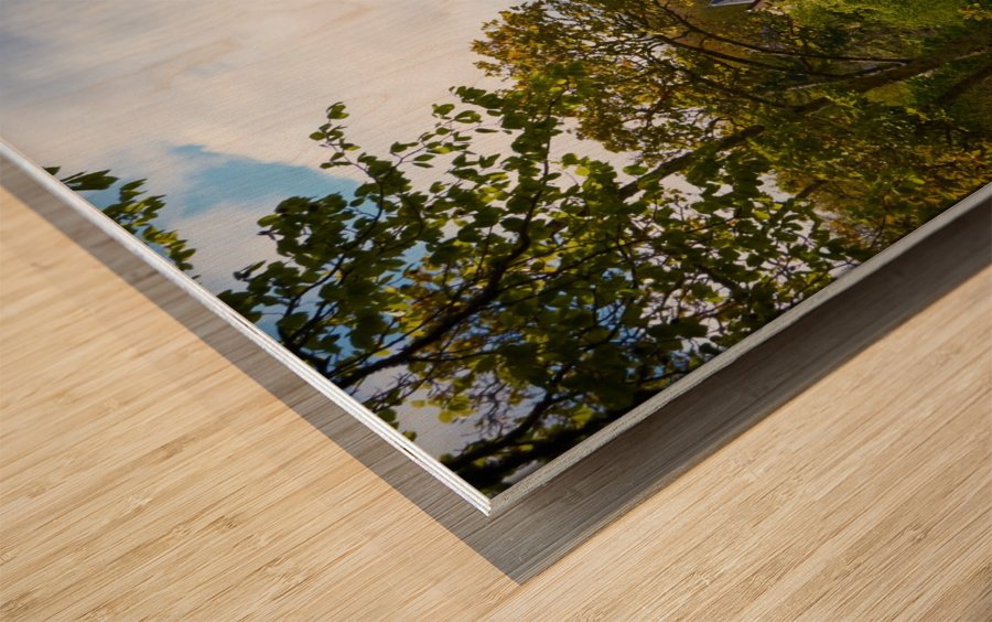 Inverness Riverside Wood print