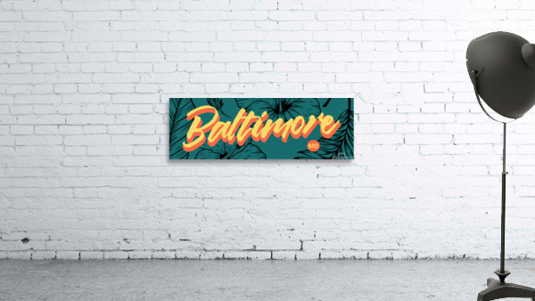 Baltimore India Wall Preview