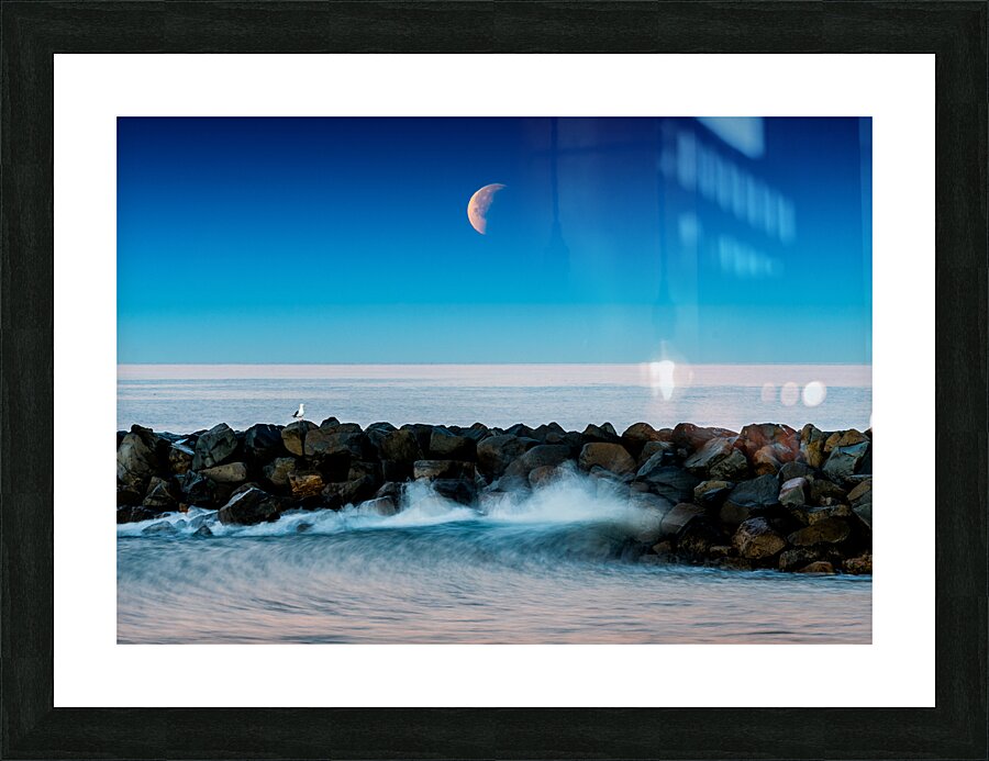 Eclipse Tamarack Picture Frame print