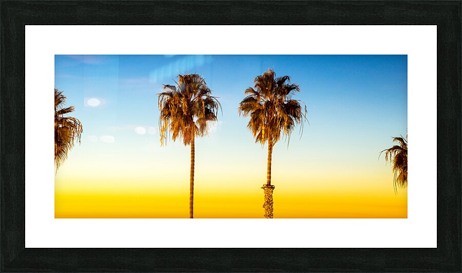 Oceanside Palms Picture Frame print