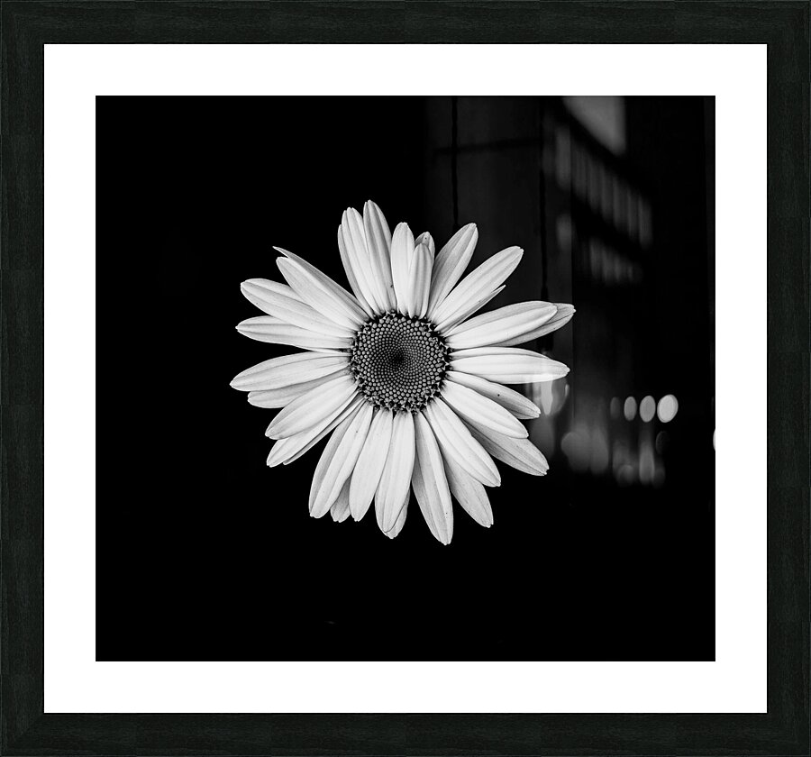 Flower Power Picture Frame print