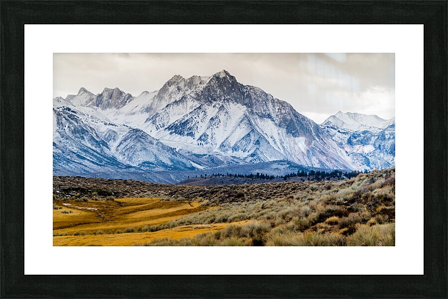 Mammoth Terrain Picture Frame print