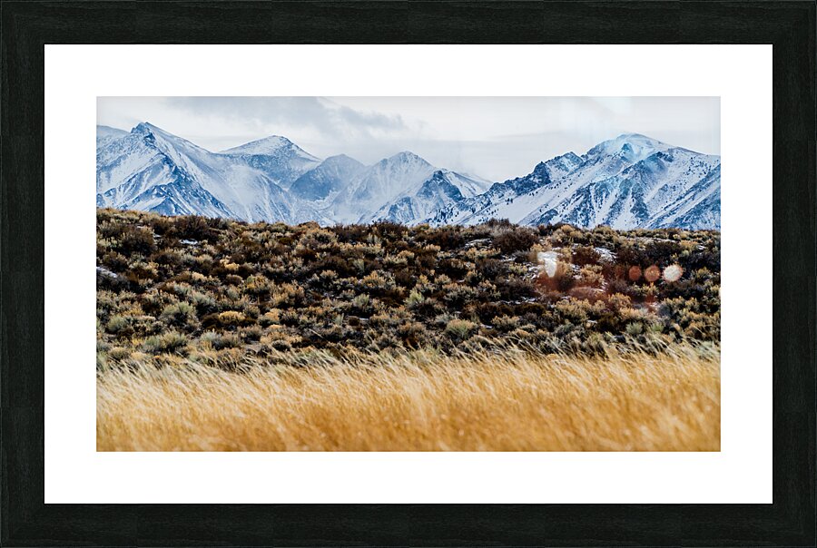 Mammoth Flat Lands Picture Frame print