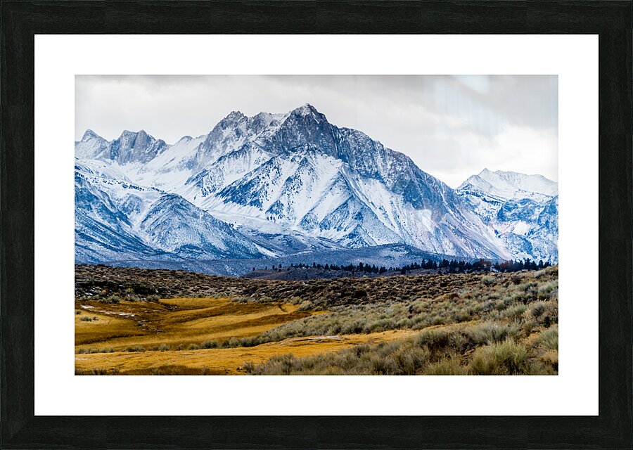 Mammoth Land Picture Frame print