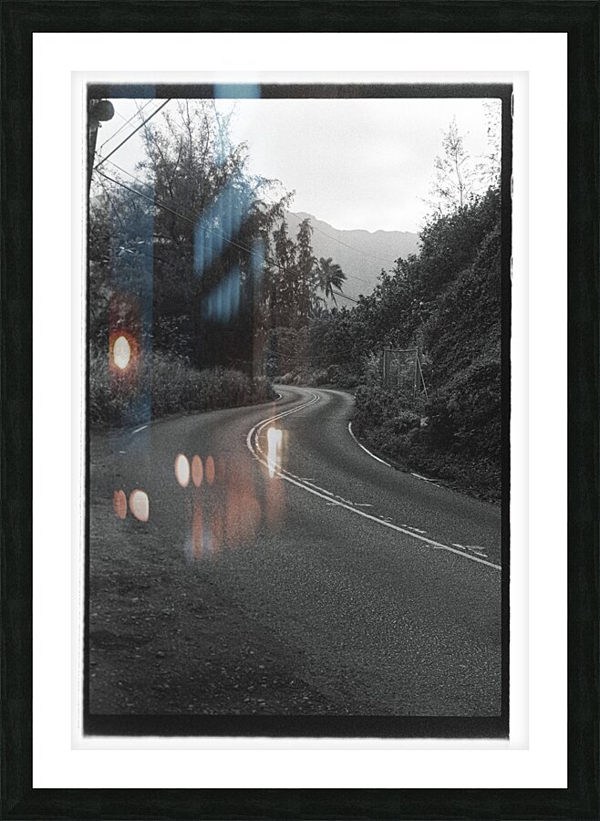 Road Through Hanalei Picture Frame print
