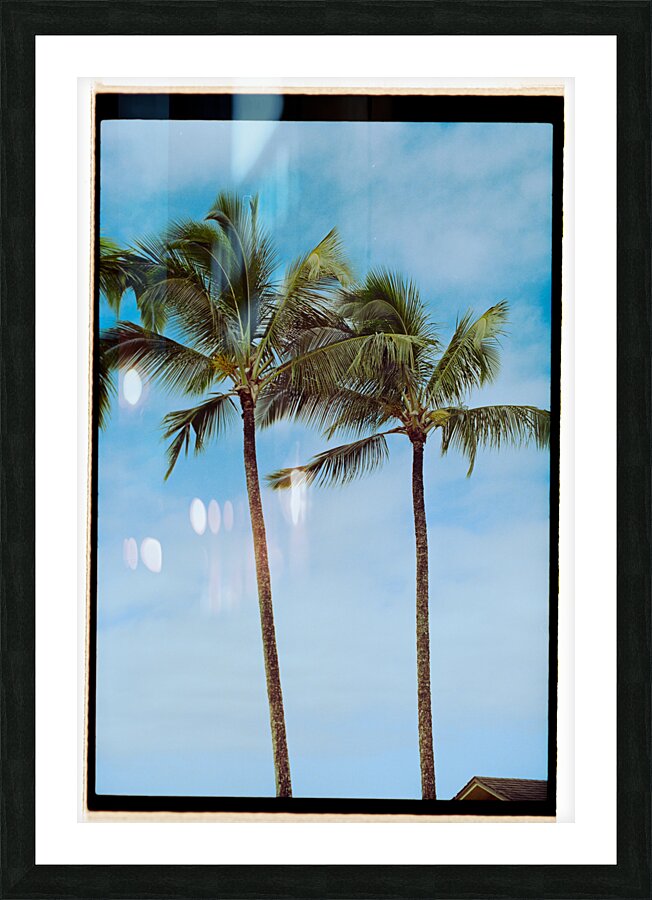 Hanalei Palms Picture Frame print