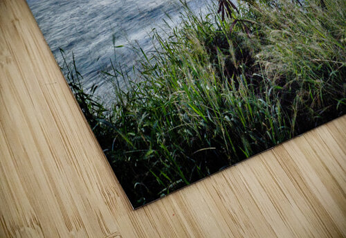Hookipa Lookout Lines Toby Ogden puzzle