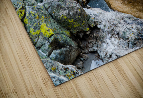 Mammoth River Toby Ogden puzzle
