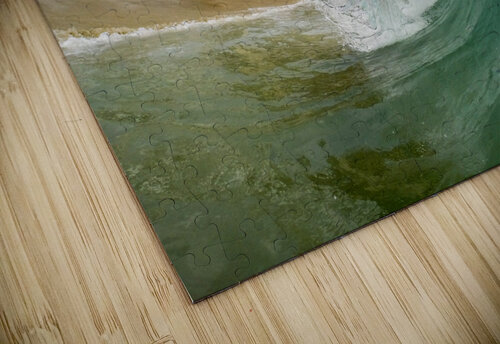 Laguna Shorebreak Toby Ogden puzzle
