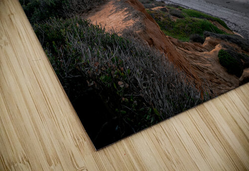 CARLSBADSOUTH Toby Ogden puzzle