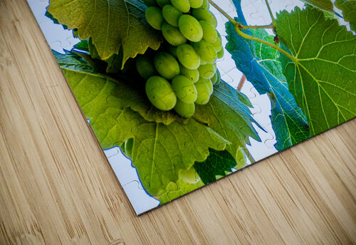 White Wine Toby Ogden puzzle