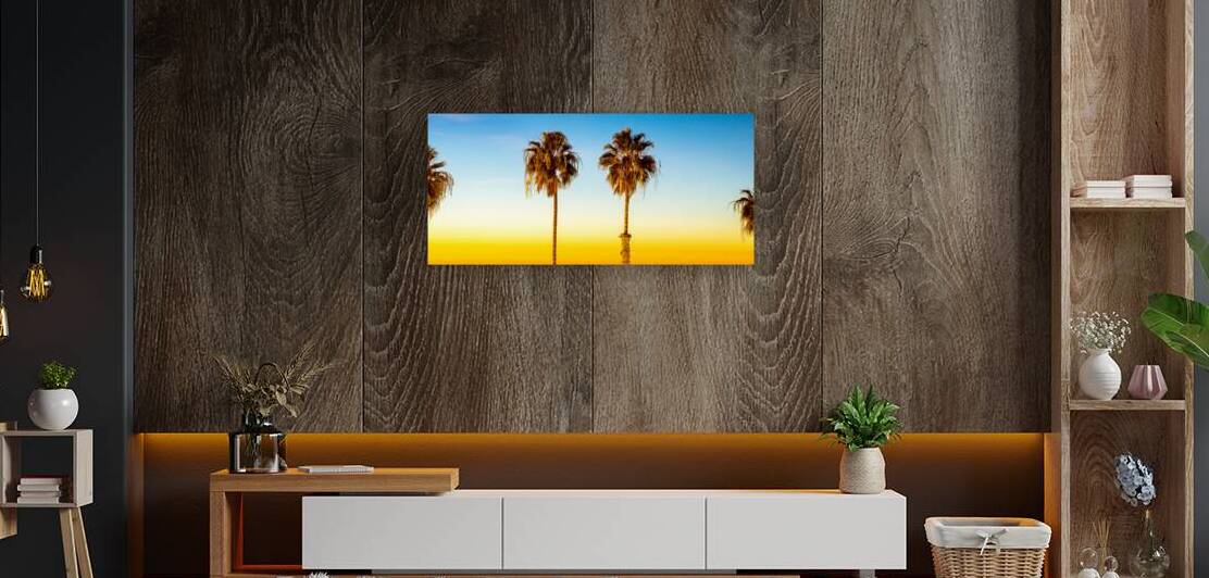 Oceanside Palms by Toby Ogden