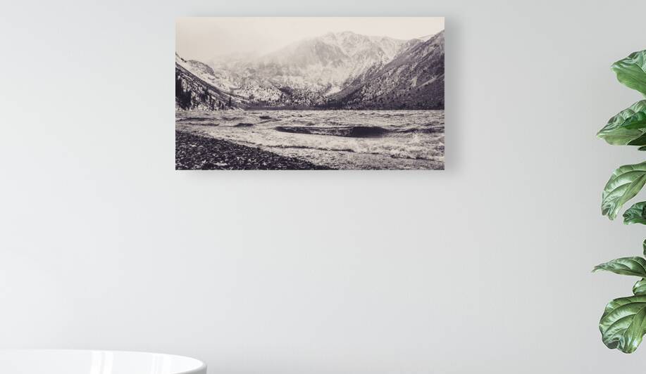 Mammoth Waves Reproduction