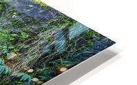 Maui Water Fall HD Metal print