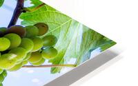 White Wine HD Metal print