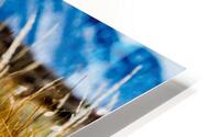 Mammoth Plains HD Metal print