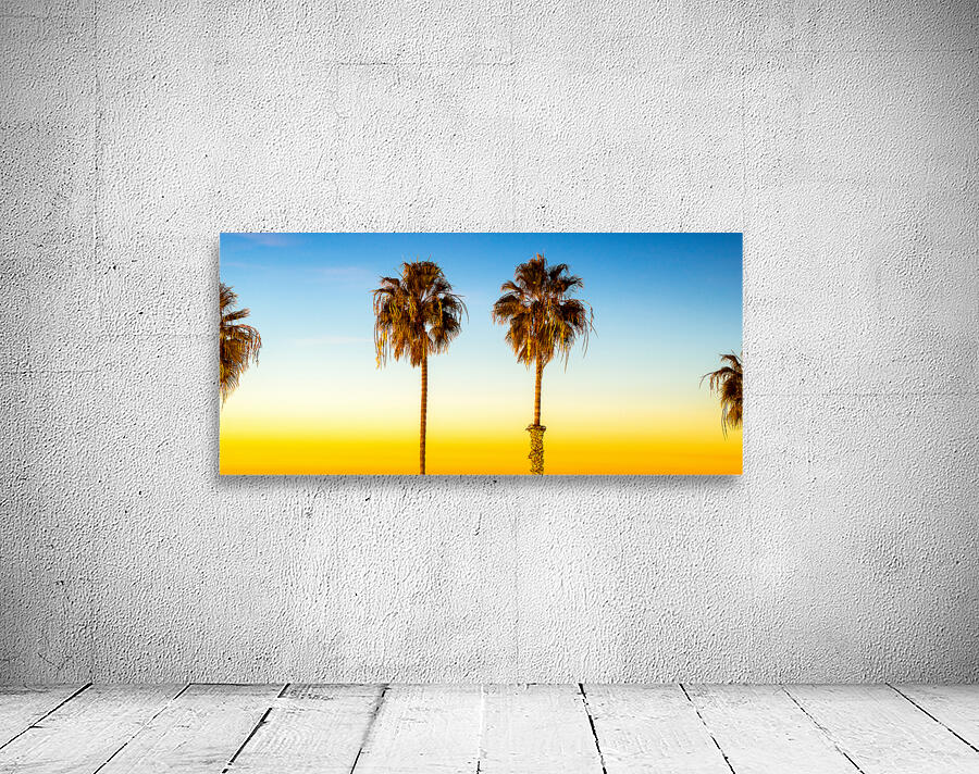 Oceanside Palms Wall Preview