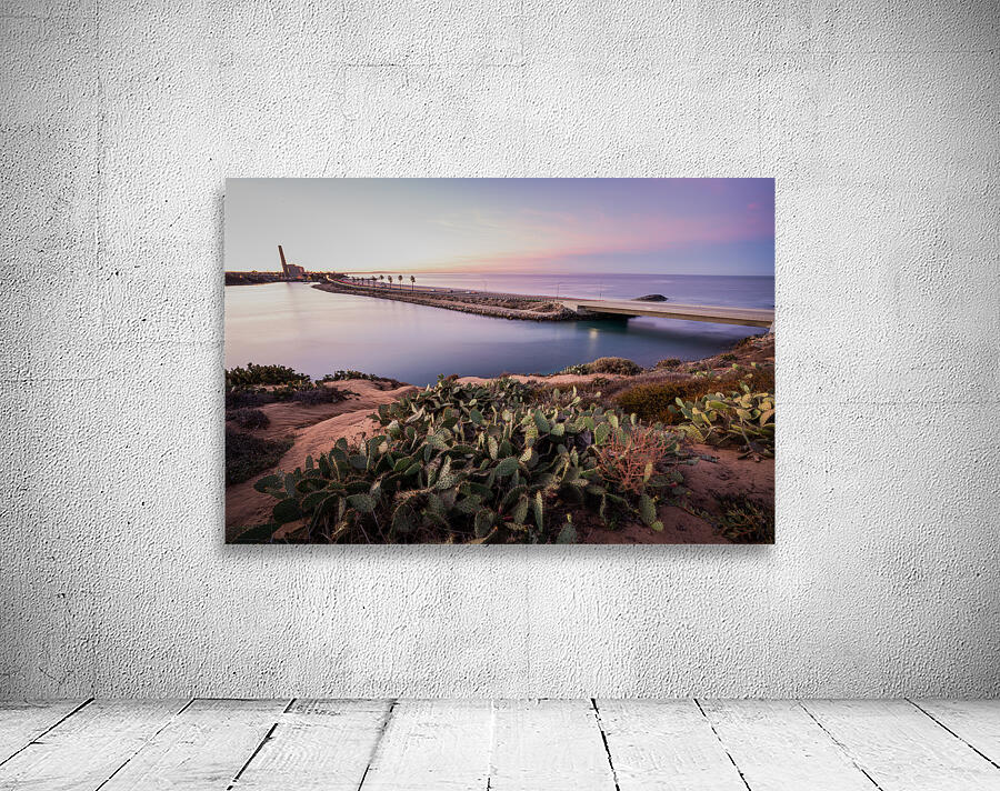 CARLSBAD LAGOON Wall Preview