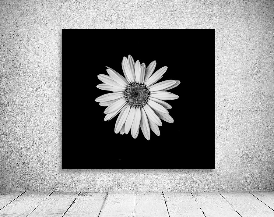 Flower Power Wall Preview