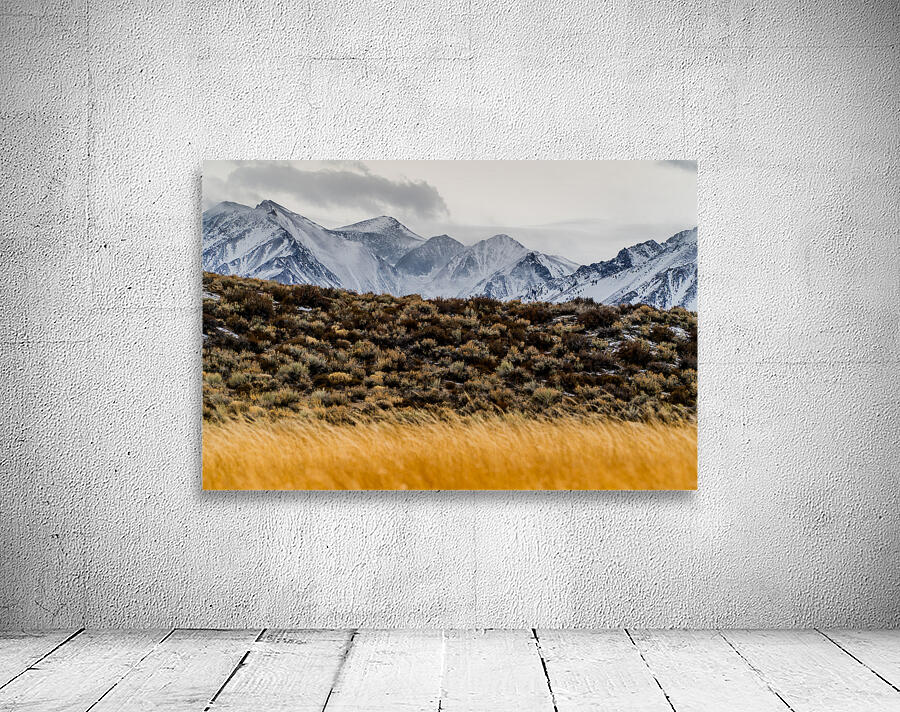 Mammoth Layers Wall Preview
